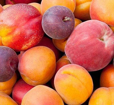 Fruits Rich in Protein-Peaches