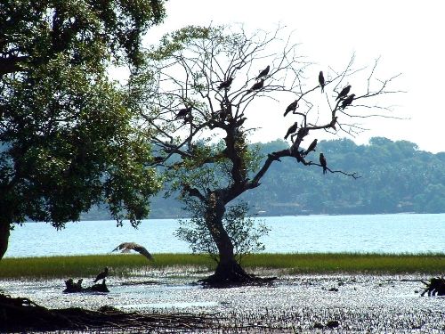 paukštis sanctuaries in india3