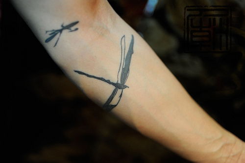 Dragonfly-tatuaj-15