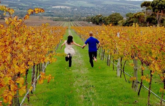 Honeymoon Places For Young Couples-Australia barossa valley