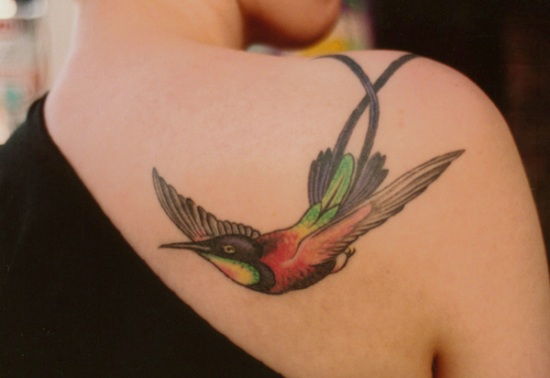 pasărea Colibri tattoos