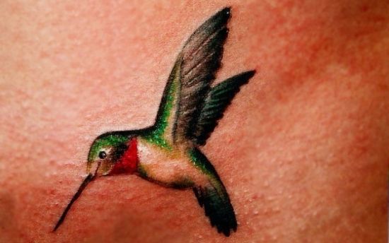 pasărea Colibri tattoos 7