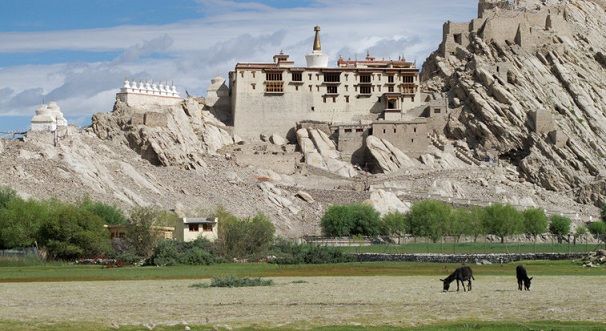 Shey-palace_ladakh-turistinės vietos