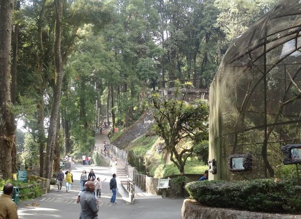 Padmaja-Naidu-Himalayan-Zoologic-park_darjeeling-turistice-locuri