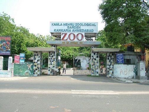 Kamla-Nehru-zoológiai-garden_best-turista-helyek-to-látogassa-in-Ahmedabad