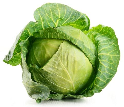 Cabbage for TAN