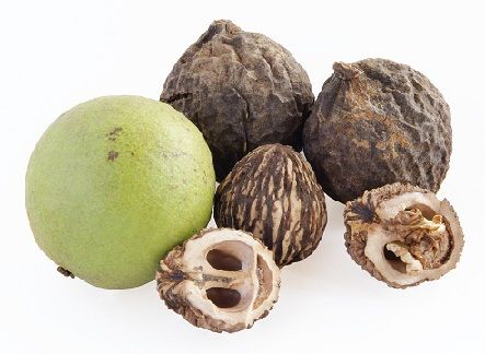 Acasă Remedies for Grey Hair - Black walnut