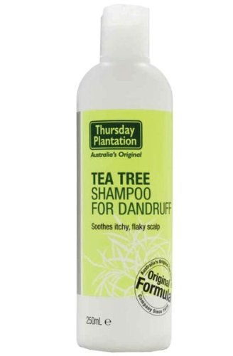 Čaj Tree Oil Shampoo