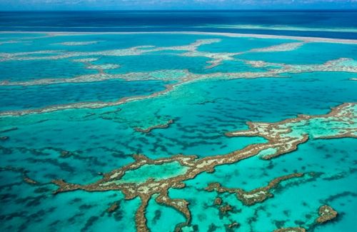 lună de miere Places in Australia The Great Barrier Reef