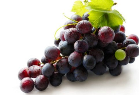Grapes During Pregnancy 7