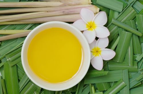 citronella-oil-benefits