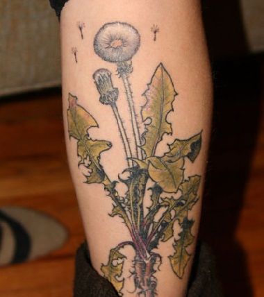 Sălbatic dandelion tattoo
