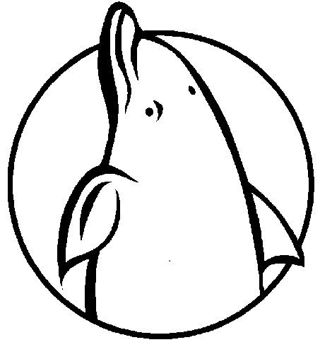 Pusė Faced Dolphin Colouring Page