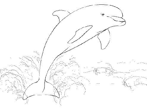Dvyniai Dolphin Colouring Page