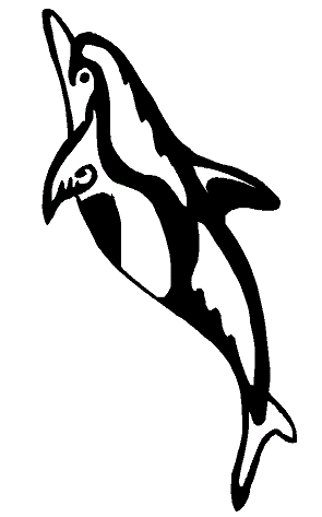 Sternas Looking Dolphin Colouring Page