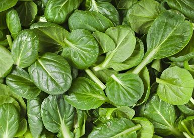 Alimente High In Oxygen Spinach