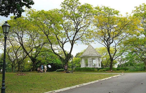 medaus mėnesio vietos-in-singapore_botanic-soduose