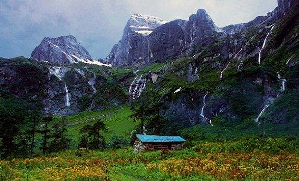 Himalaya Facts-Diverse Ecology