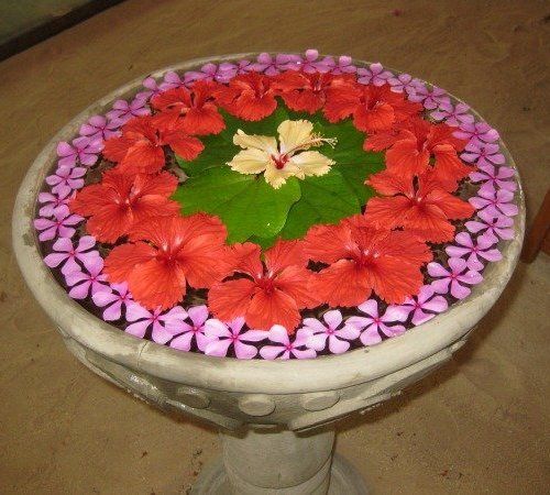 Special Rangoli Designs Rangoli with Flower and Water
