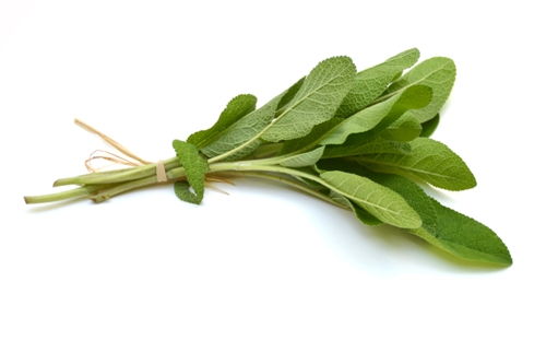 condimente and herbs that boost brain power 6