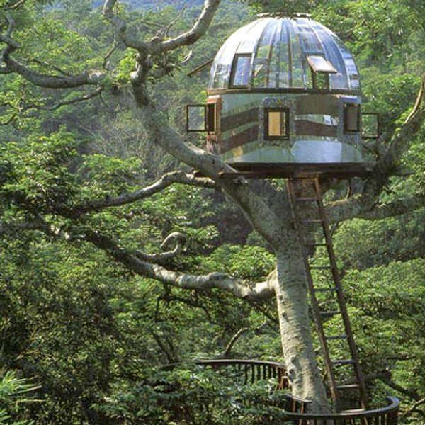 Tree Houses pagal Pete Nelson