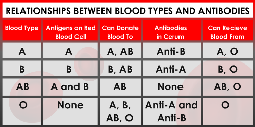 tipuri of blood group