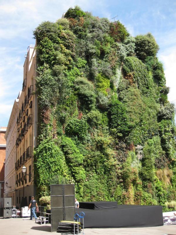 Vertical Gardens by Patrick Blanc
