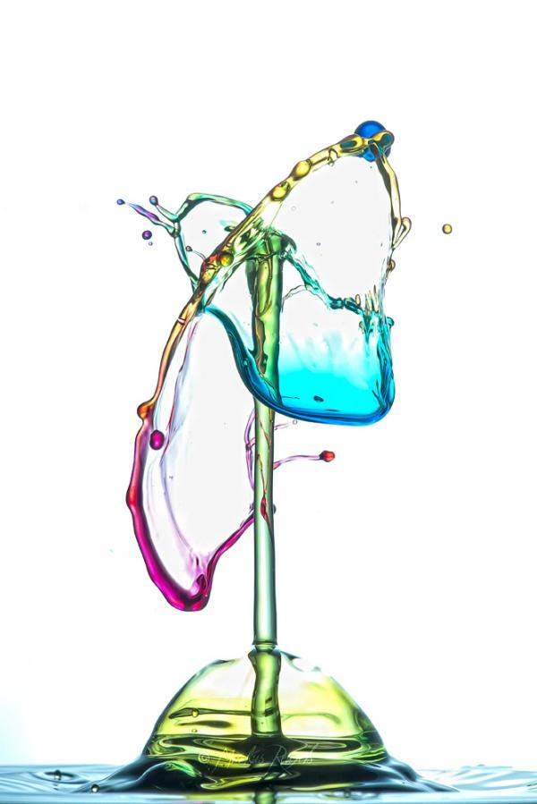 Markuso Reugelso fotografuojamas vandens lašelis