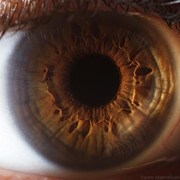Your beautiful eyes by Suren Manvelyan