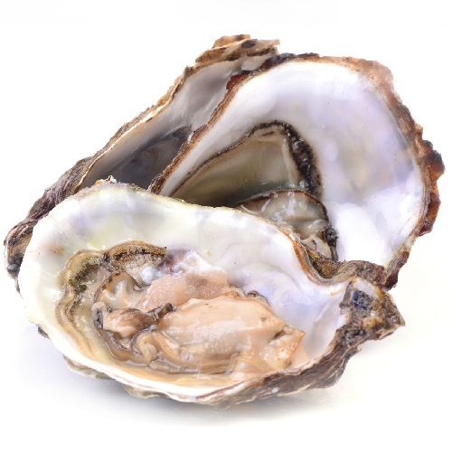 Cink Rich Foods - Oysters