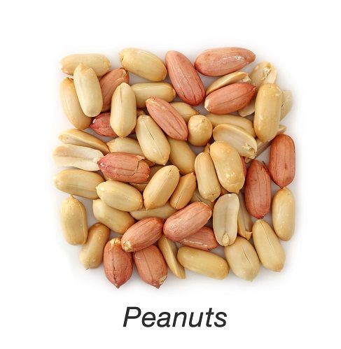 Cink Rich Foods - Peanuts